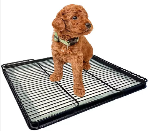 Pet Tray