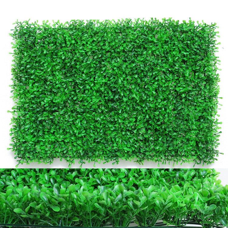 Wall Plants