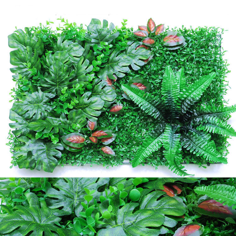 Wall Plants