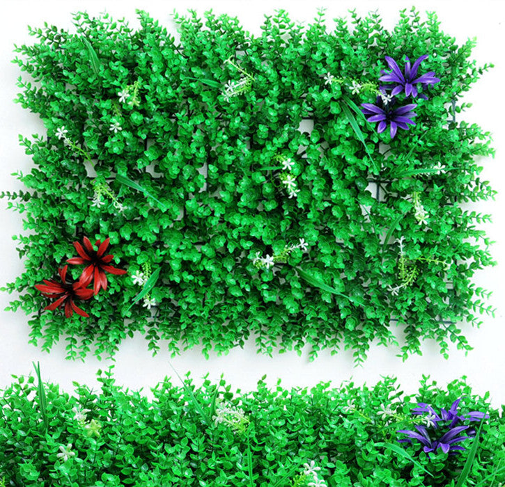 Wall Plants