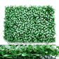 Wall Plants