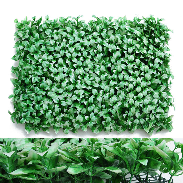 Wall Plants