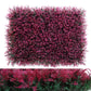 Wall Plants