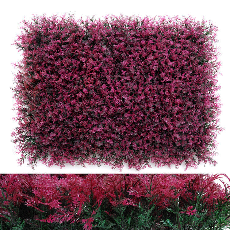 Wall Plants