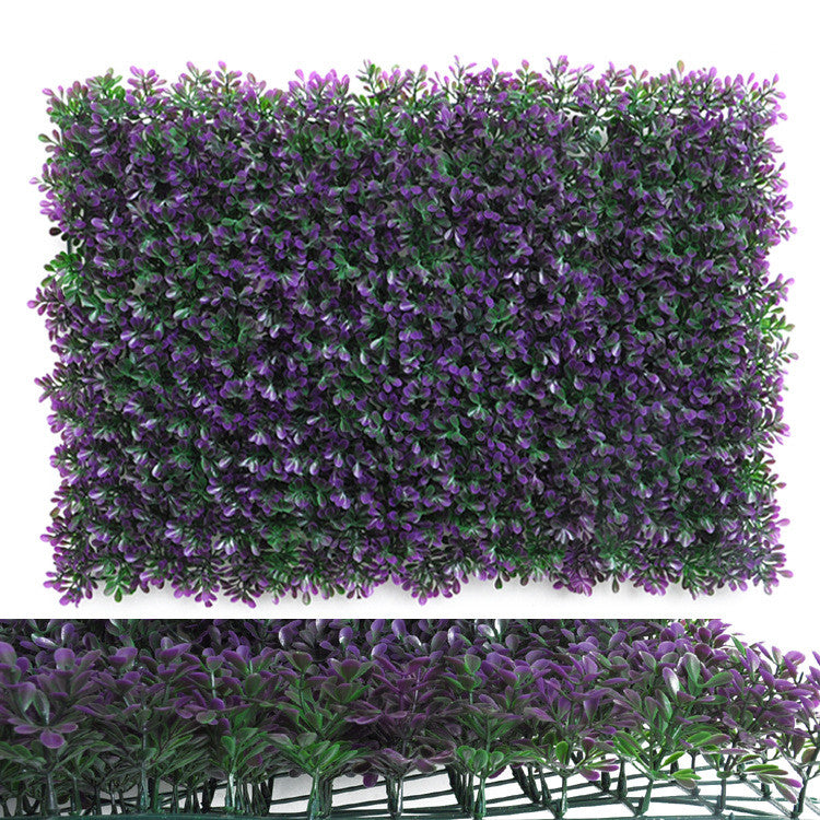 Wall Plants