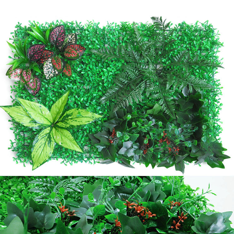 Wall Plants