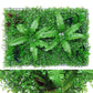 Wall Plants