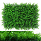 Wall Plants