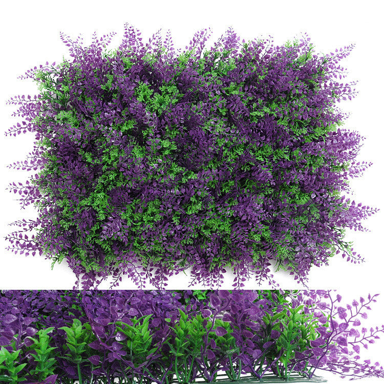 Wall Plants