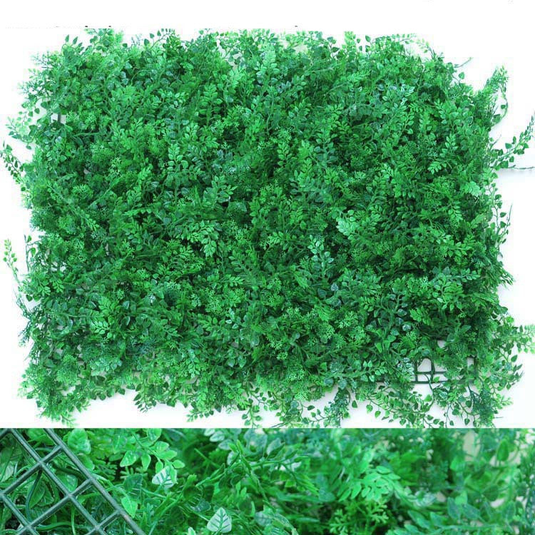 Wall Plants