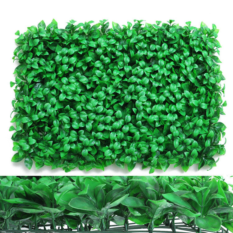 Wall Plants