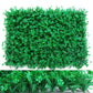 Wall Plants