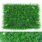 Wall Plants
