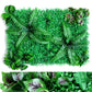Wall Plants