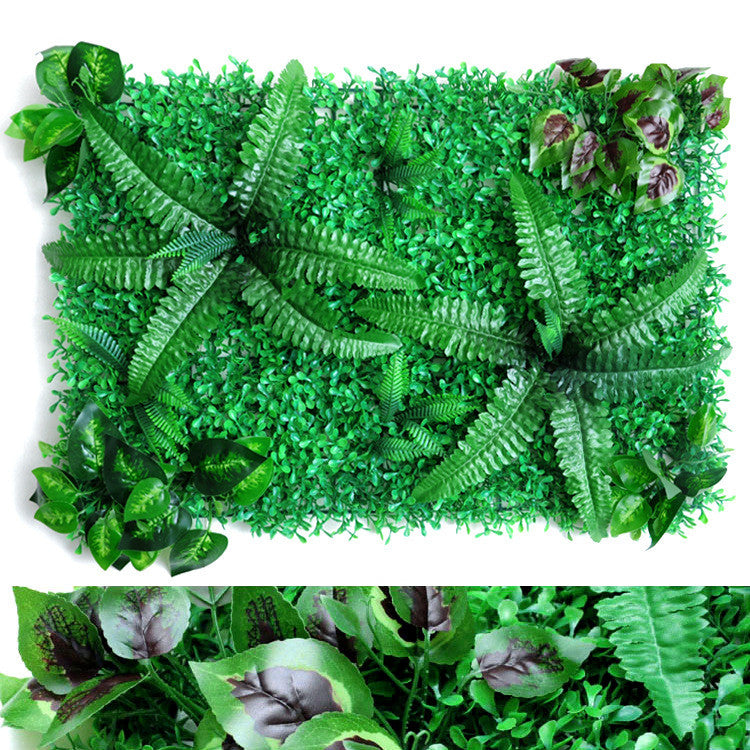 Wall Plants