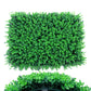 Wall Plants