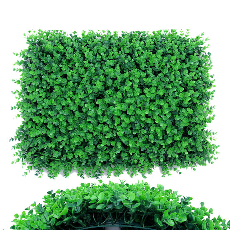 Wall Plants