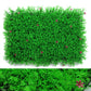 Wall Plants
