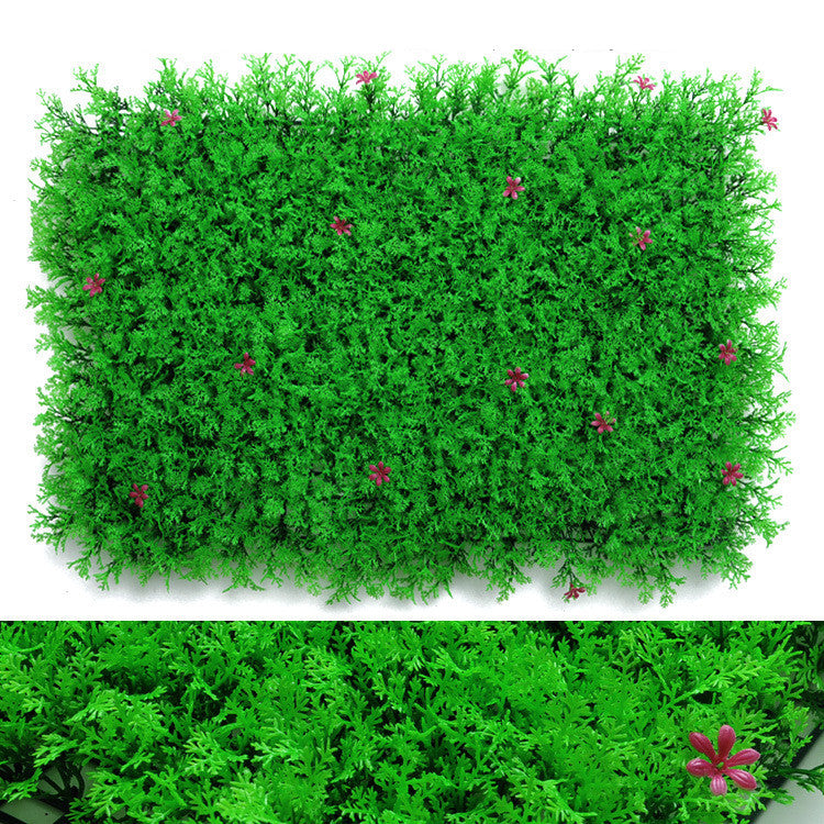 Wall Plants