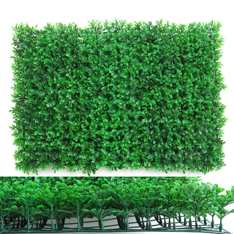 Wall Plants