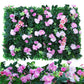 Wall Plants