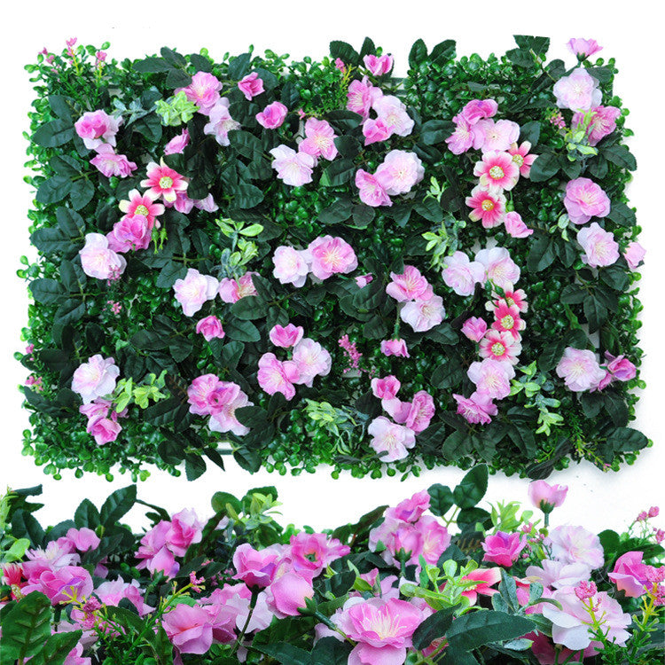 Wall Plants