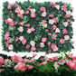 Wall Plants