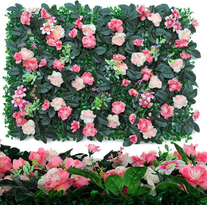 Wall Plants