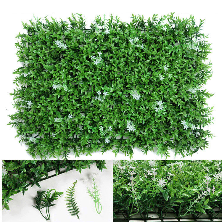 Wall Plants