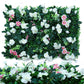 Wall Plants