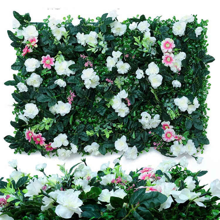 Wall Plants