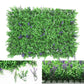 Wall Plants