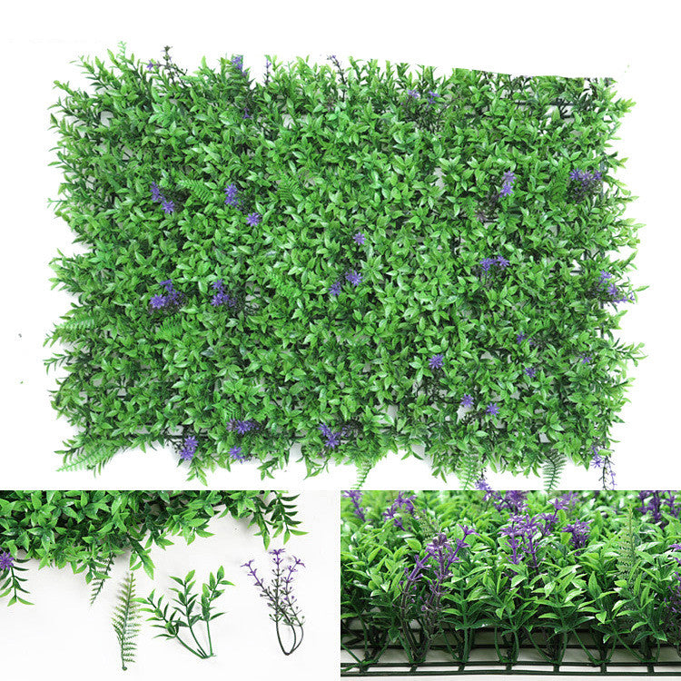 Wall Plants