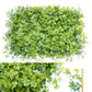 Wall Plants
