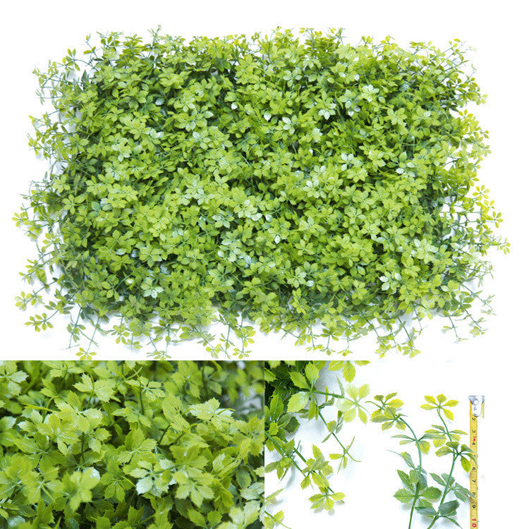 Wall Plants