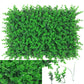 Wall Plants