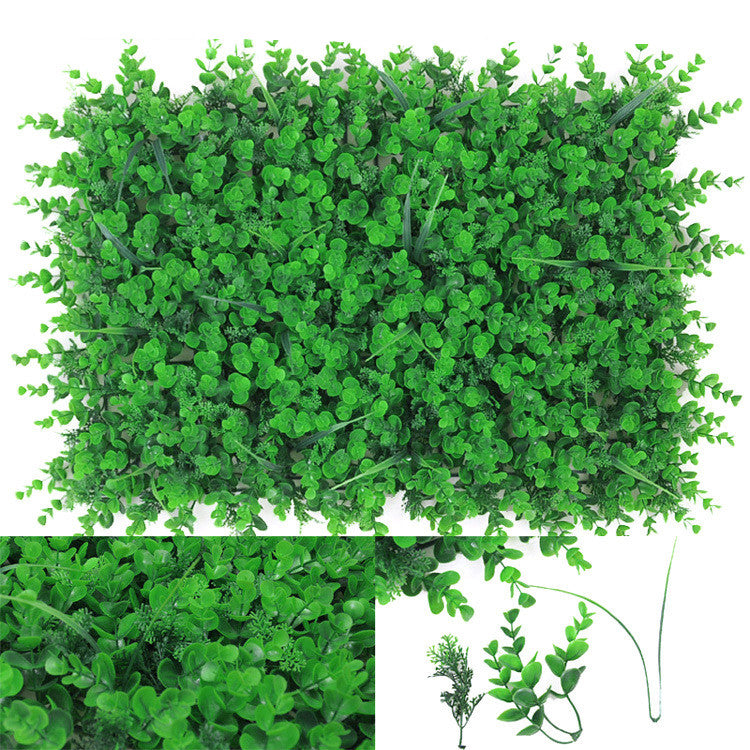 Wall Plants
