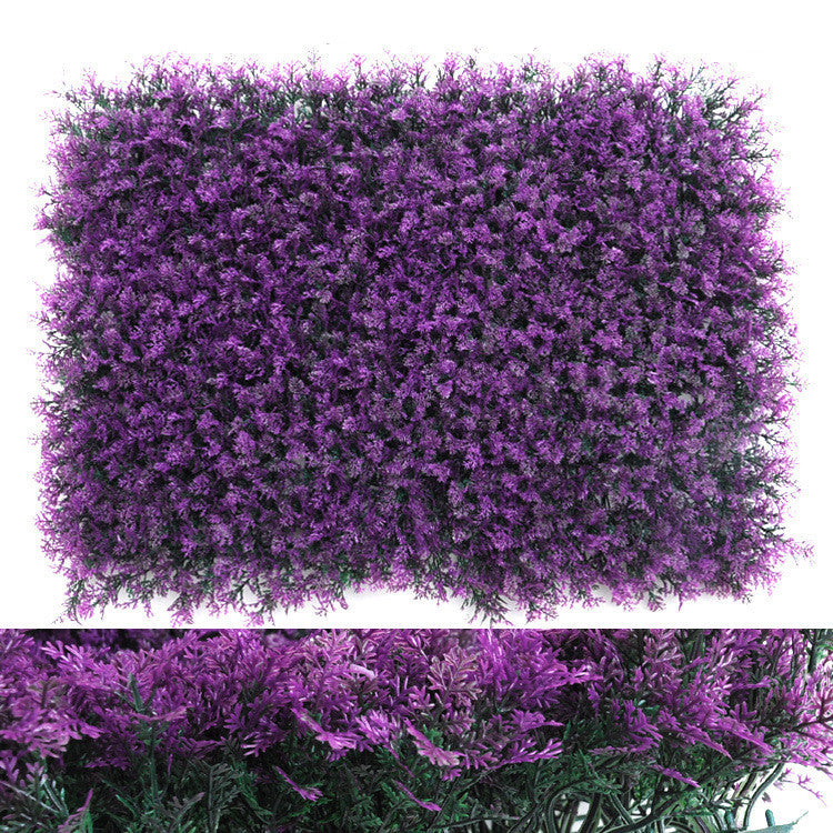 Wall Plants