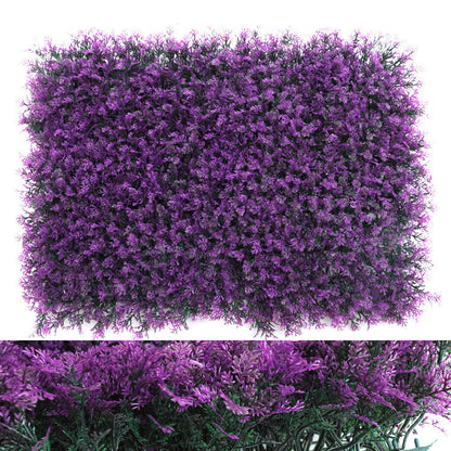 Wall Plants