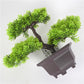 Artificial plant