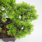 Artificial plant