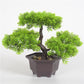 Artificial plant