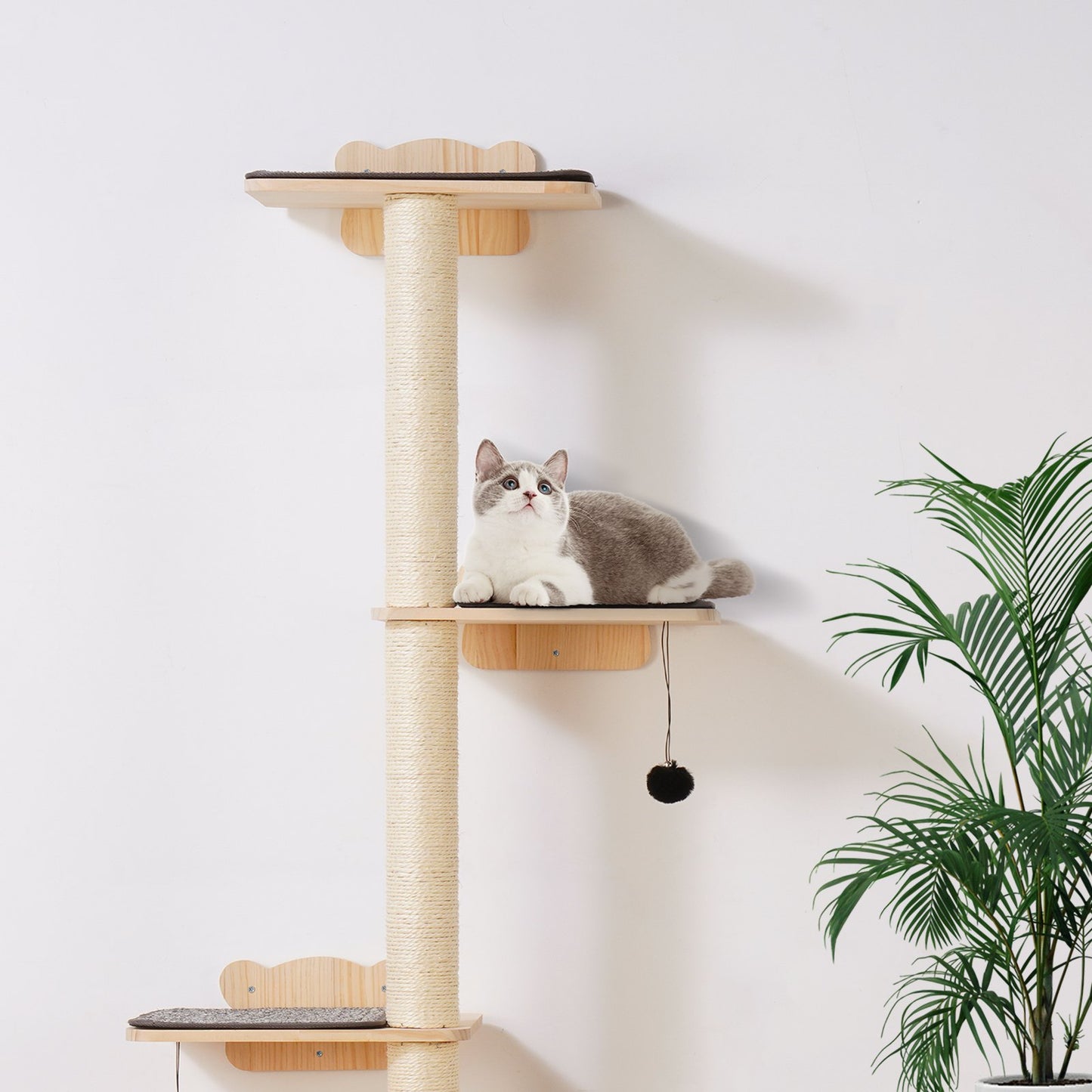 Pet Furniture