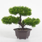Artificial plant