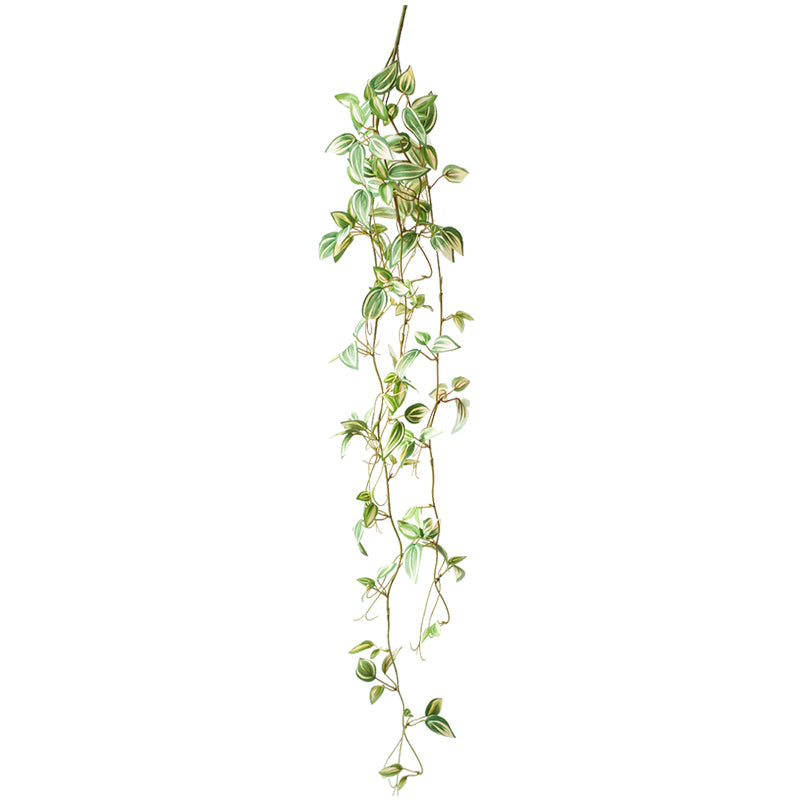 Hanging Plant