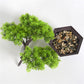 Artificial plant