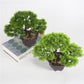 Artificial plant
