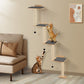 Pet Furniture