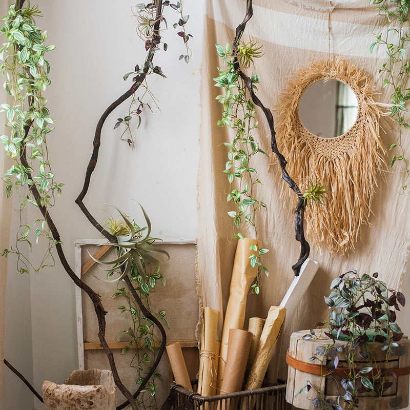Hanging Plant