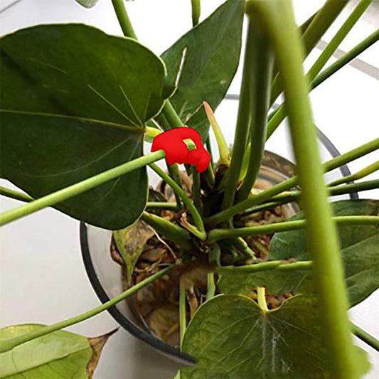 Plant Bender